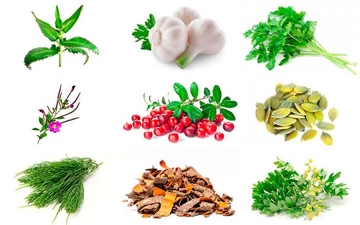 Remèdes populaires pour le traitement de la prostatite